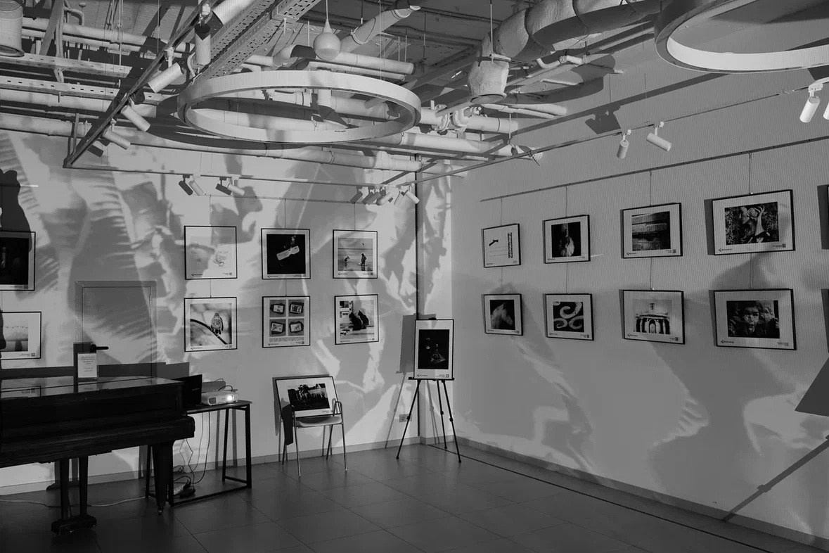 Организация фестиваля черно-белой фотографии «Фотострелка» в г. Ростов-на-Дону. Фотограф Наталия Шляпина в Ростове-на-Дону