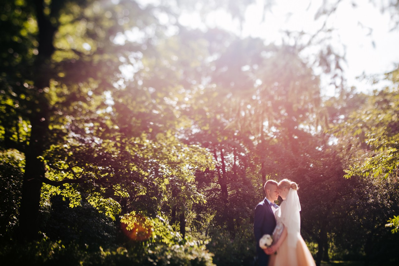 Подборка разных свадеб 2017-2020. Фотограф Дмитрий Сермяжко