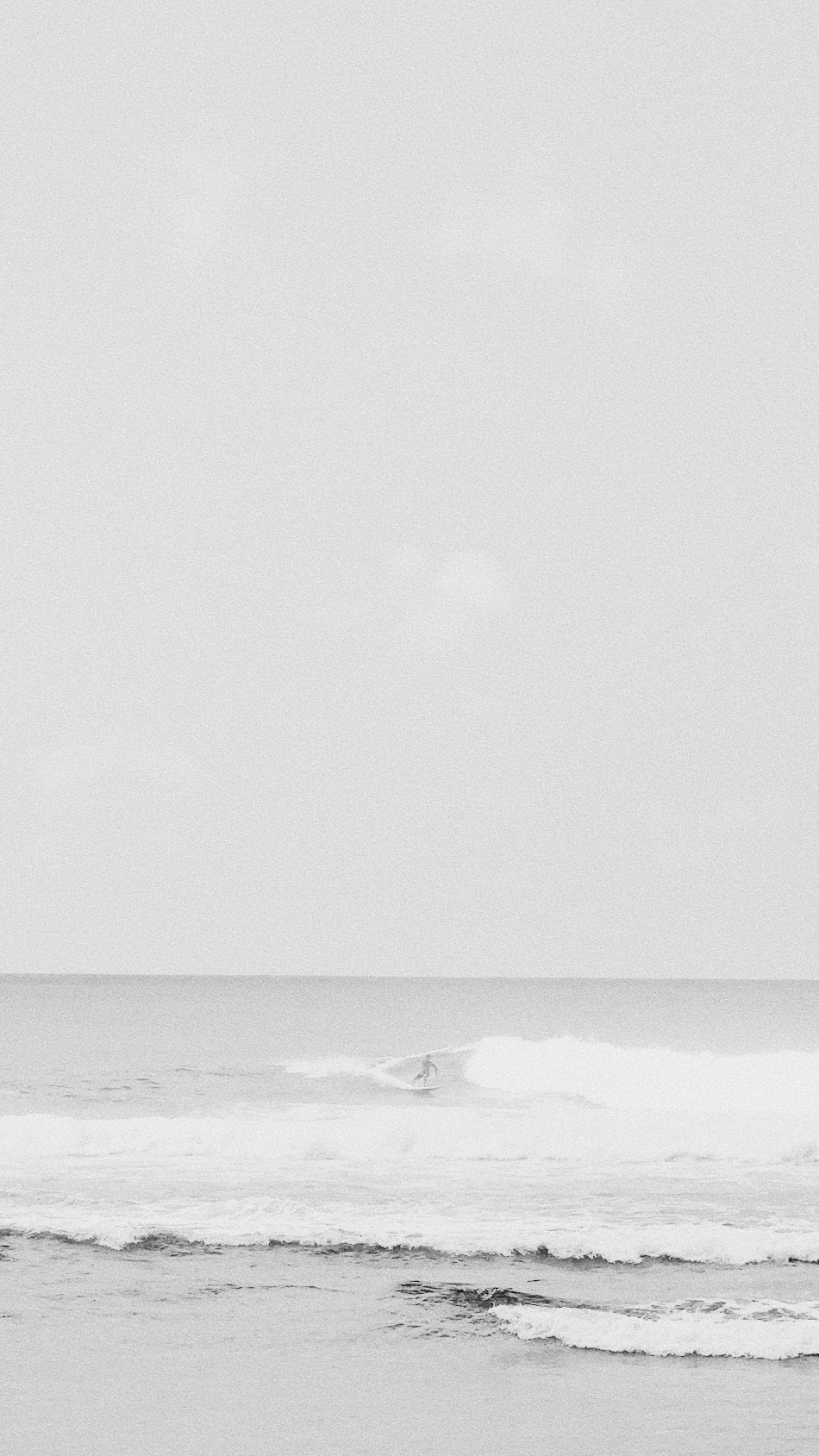 SOMEWHERE. Carolinetru