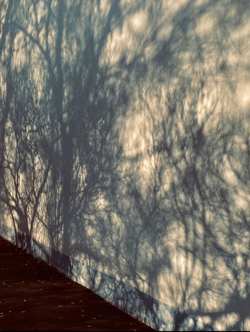 Мир и детализация. Портретный фотограф kristen.soul | Кристина Гусева