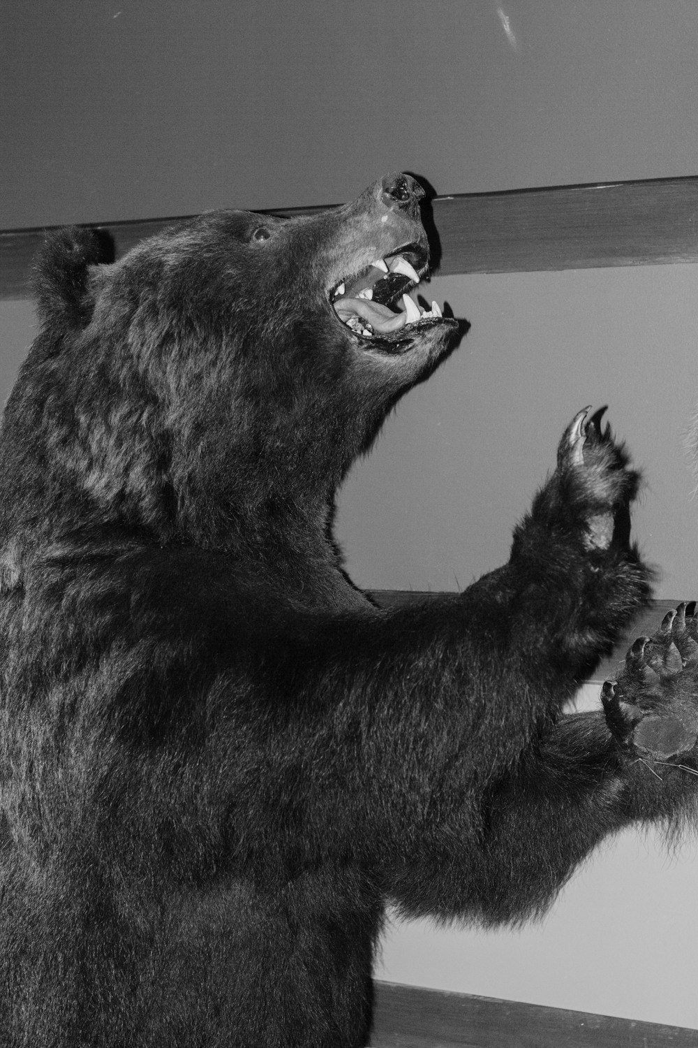 Train to the Future. Kristina Sergeeva