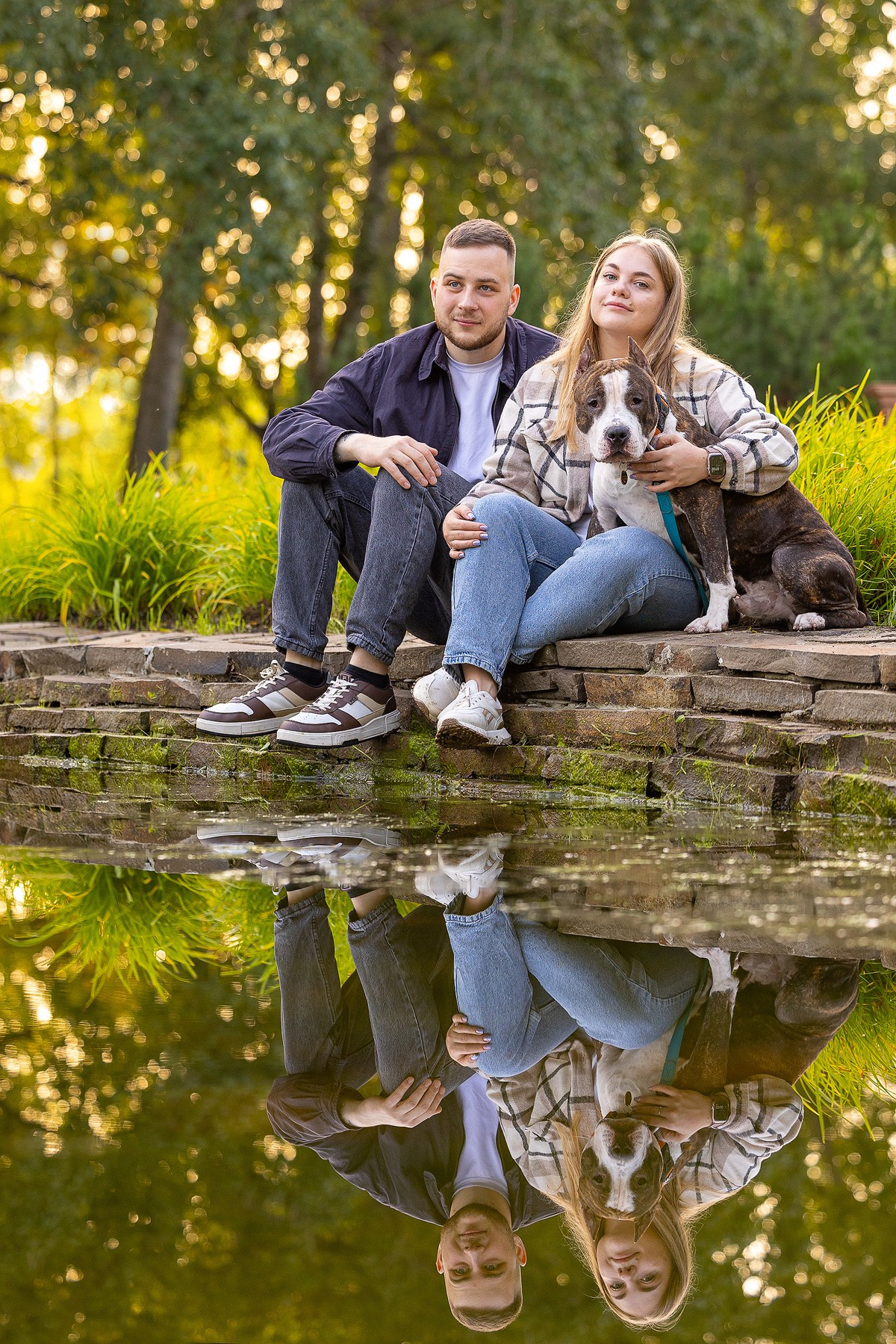 Амстафф Честер и его семья. Фотограф-анималист Natalia Deingel | Фотосъемка собак в Москве