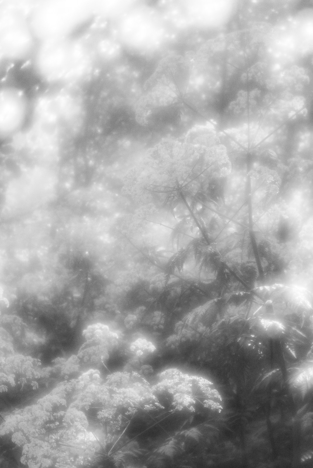 Portfolio. Estetyka