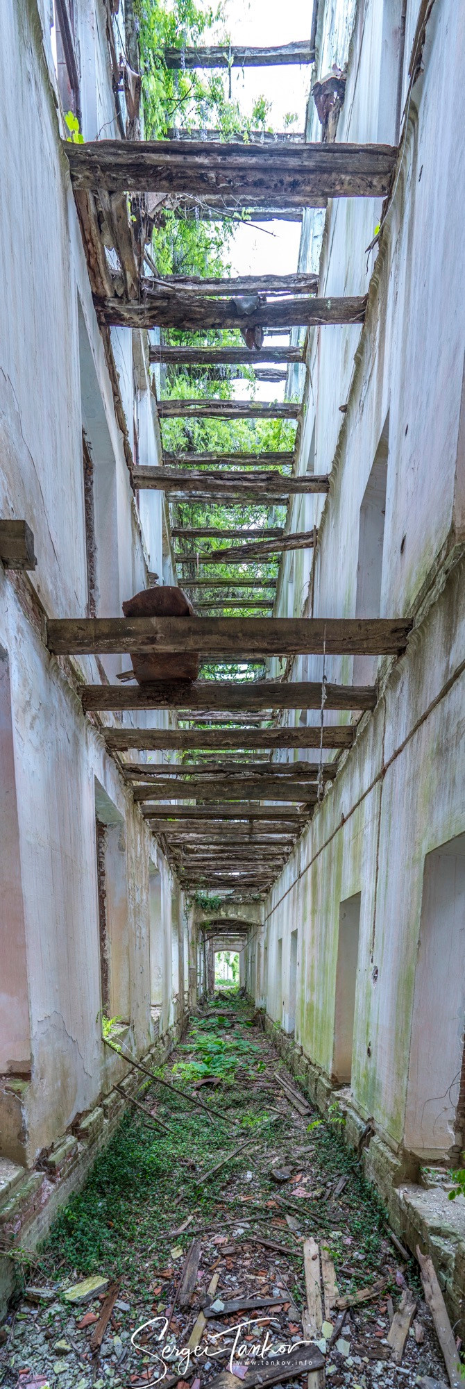 Абхазия (май 2019). Фотограф Сергей Танков