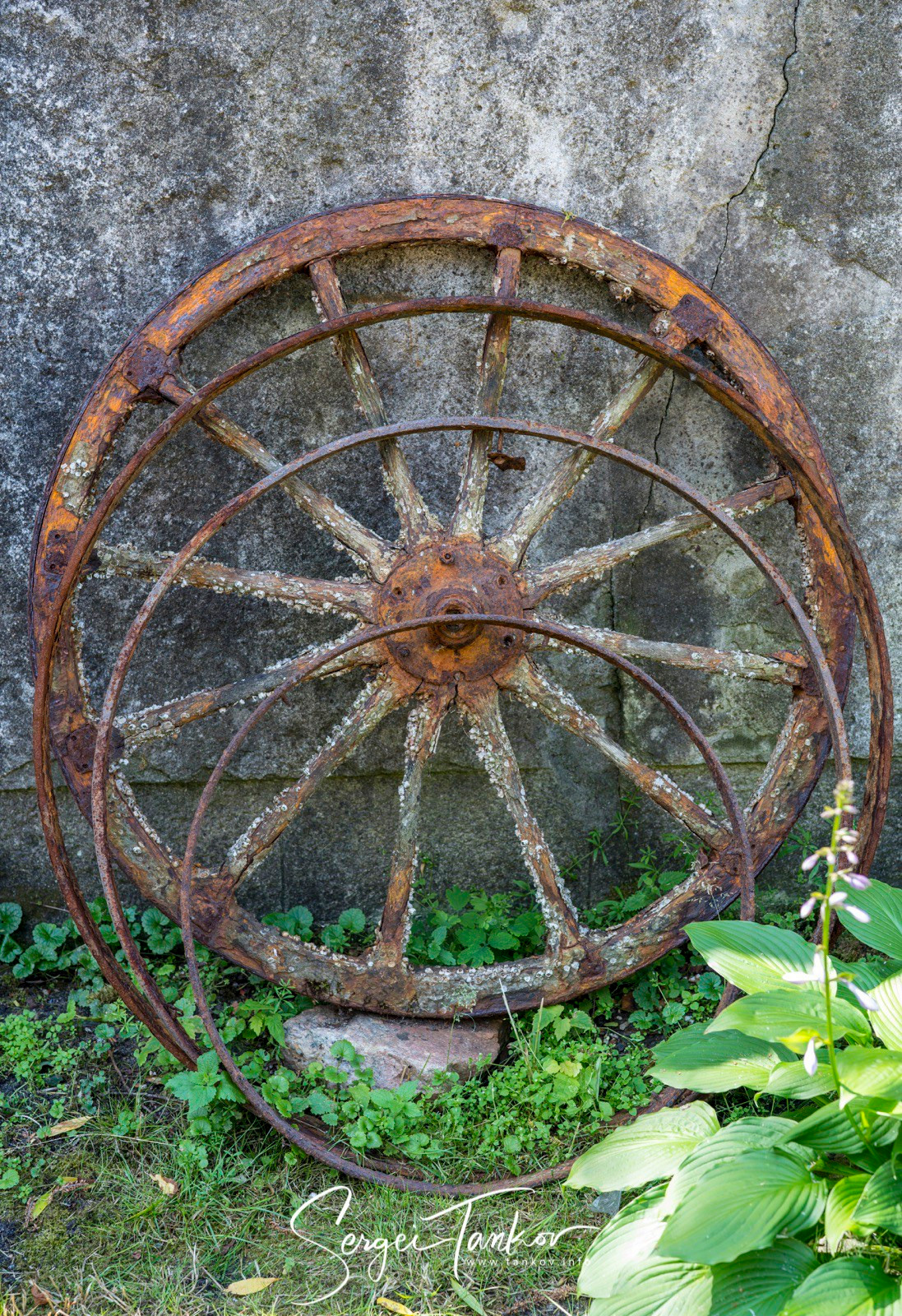 Калининград (июнь 2019). Фотограф Сергей Танков