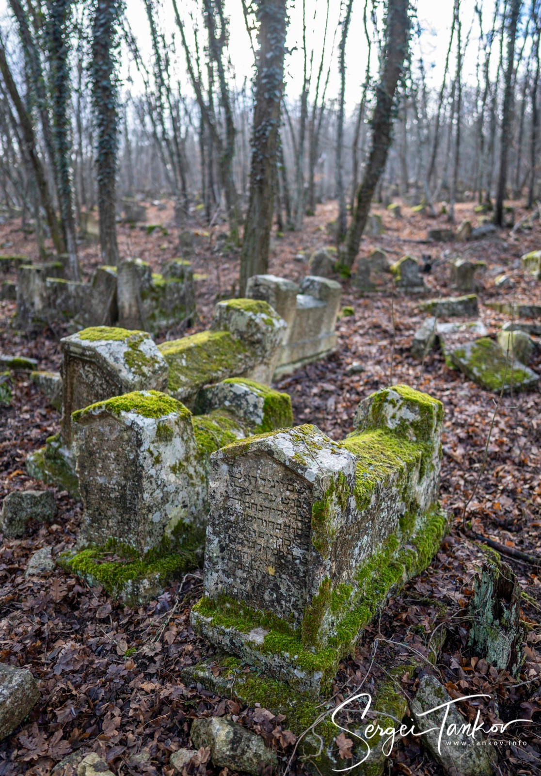 Крым (январь 2020). Фотограф Сергей Танков