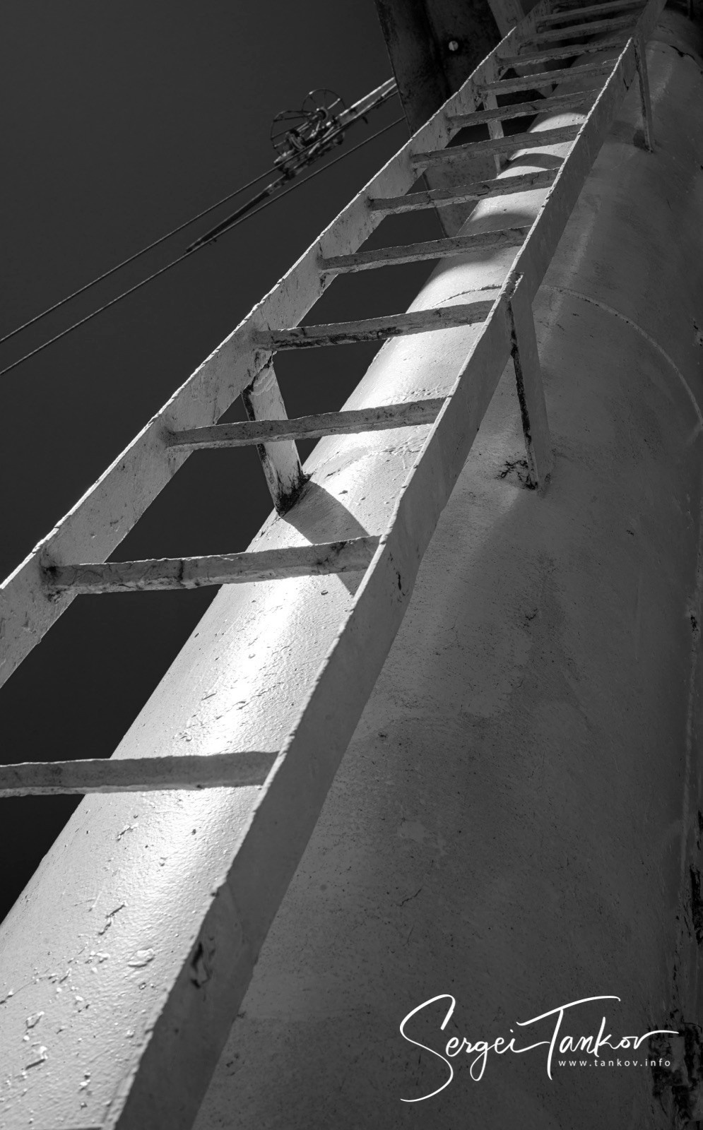 Калининград (июнь 2019). Фотограф Сергей Танков