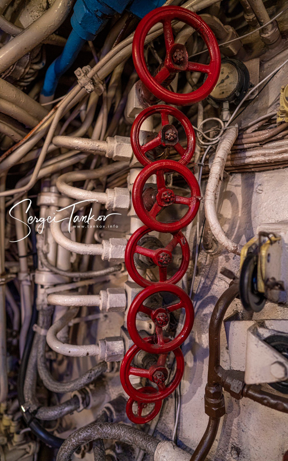 Калининград (июнь 2019). Фотограф Сергей Танков