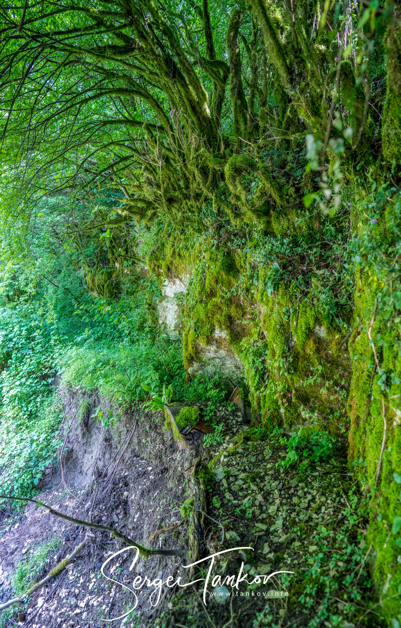 Абхазия (май 2019). Фотограф Сергей Танков