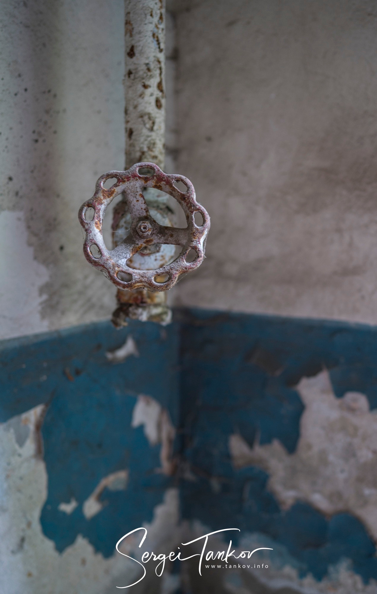 Абхазия (май 2019). Фотограф Сергей Танков