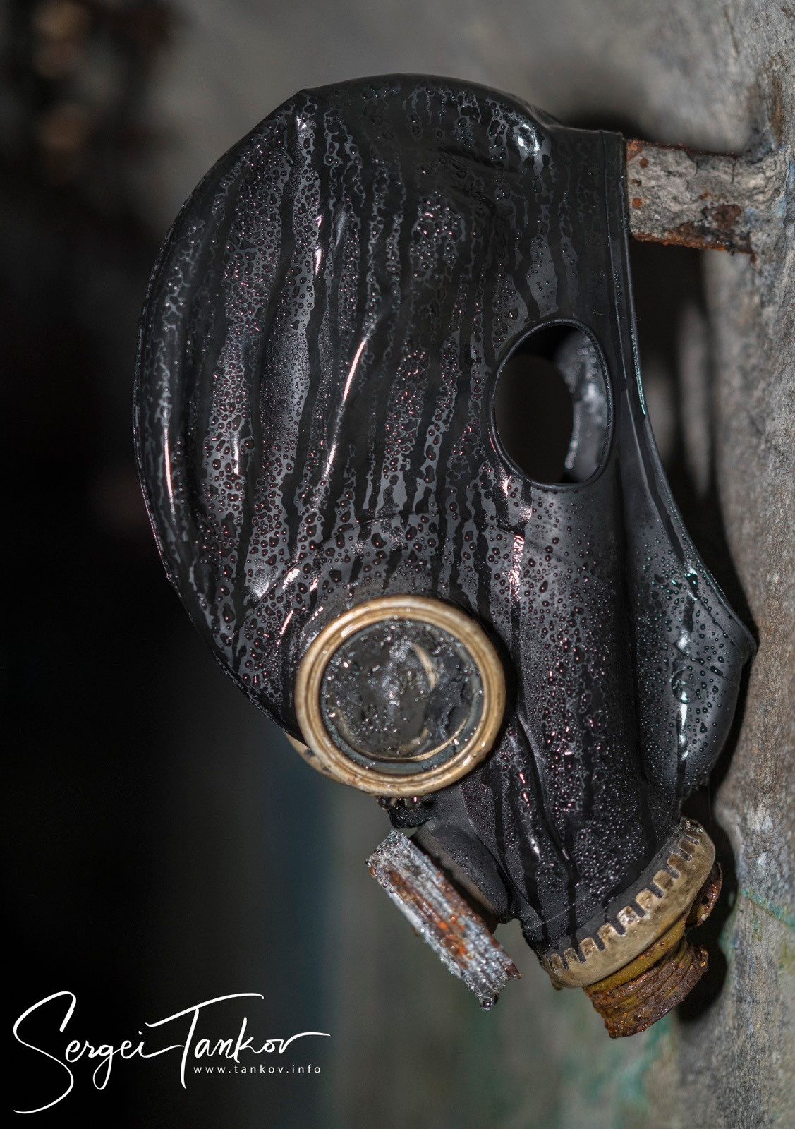 Владивосток (сентябрь 2019). Фотограф Сергей Танков