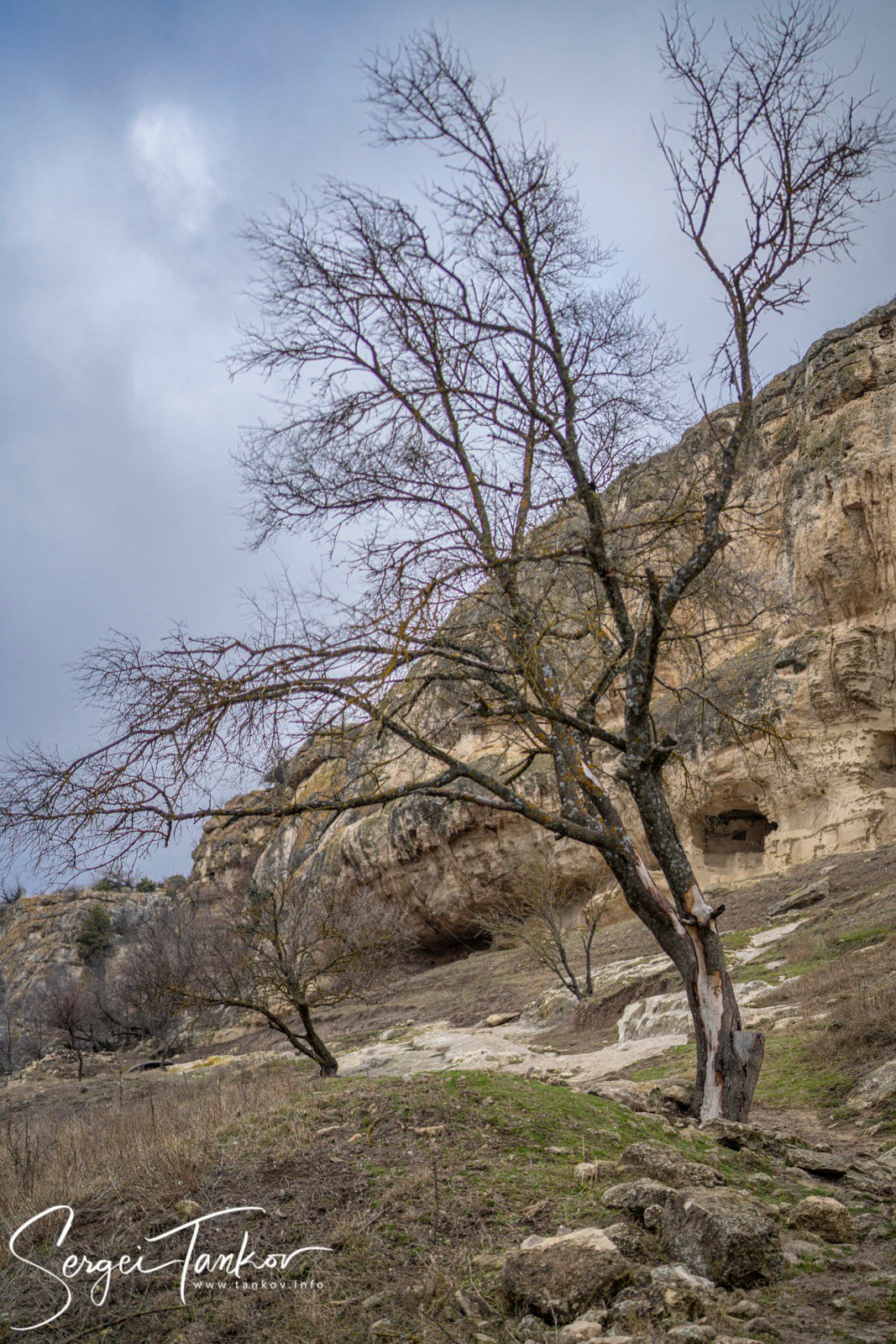 Крым (январь 2020). Фотограф Сергей Танков