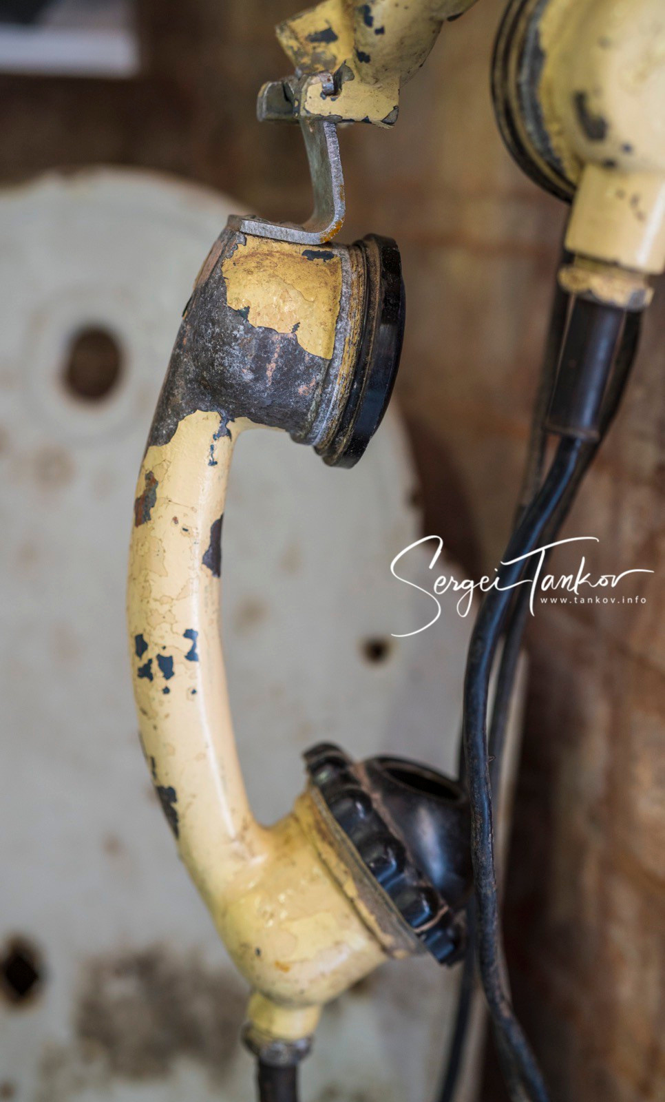 Калининград (июнь 2019). Фотограф Сергей Танков