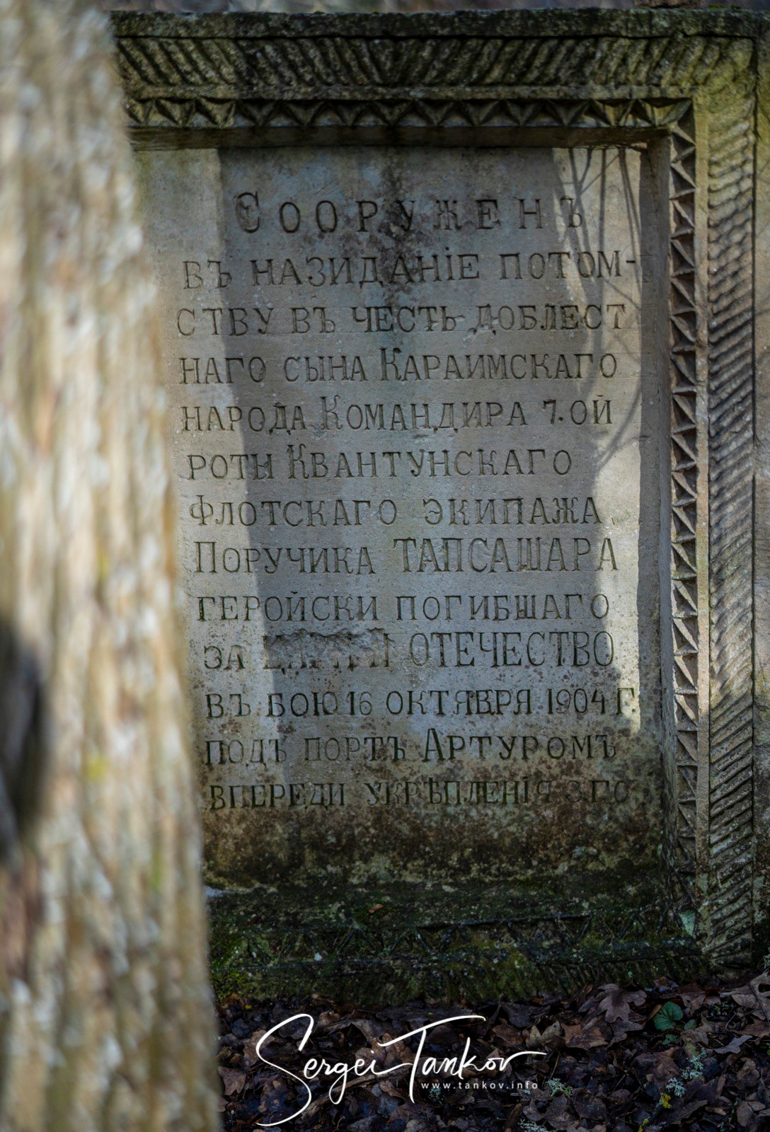 Крым (январь 2020). Фотограф Сергей Танков