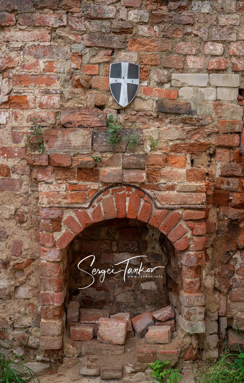 Калининград (июнь 2019). Фотограф Сергей Танков