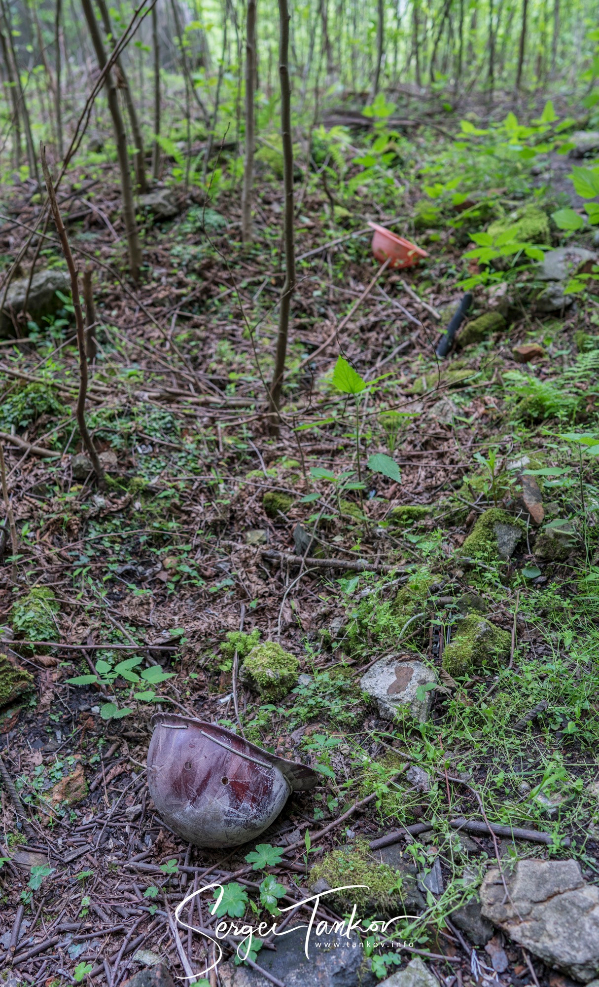 Абхазия (май 2019). Фотограф Сергей Танков