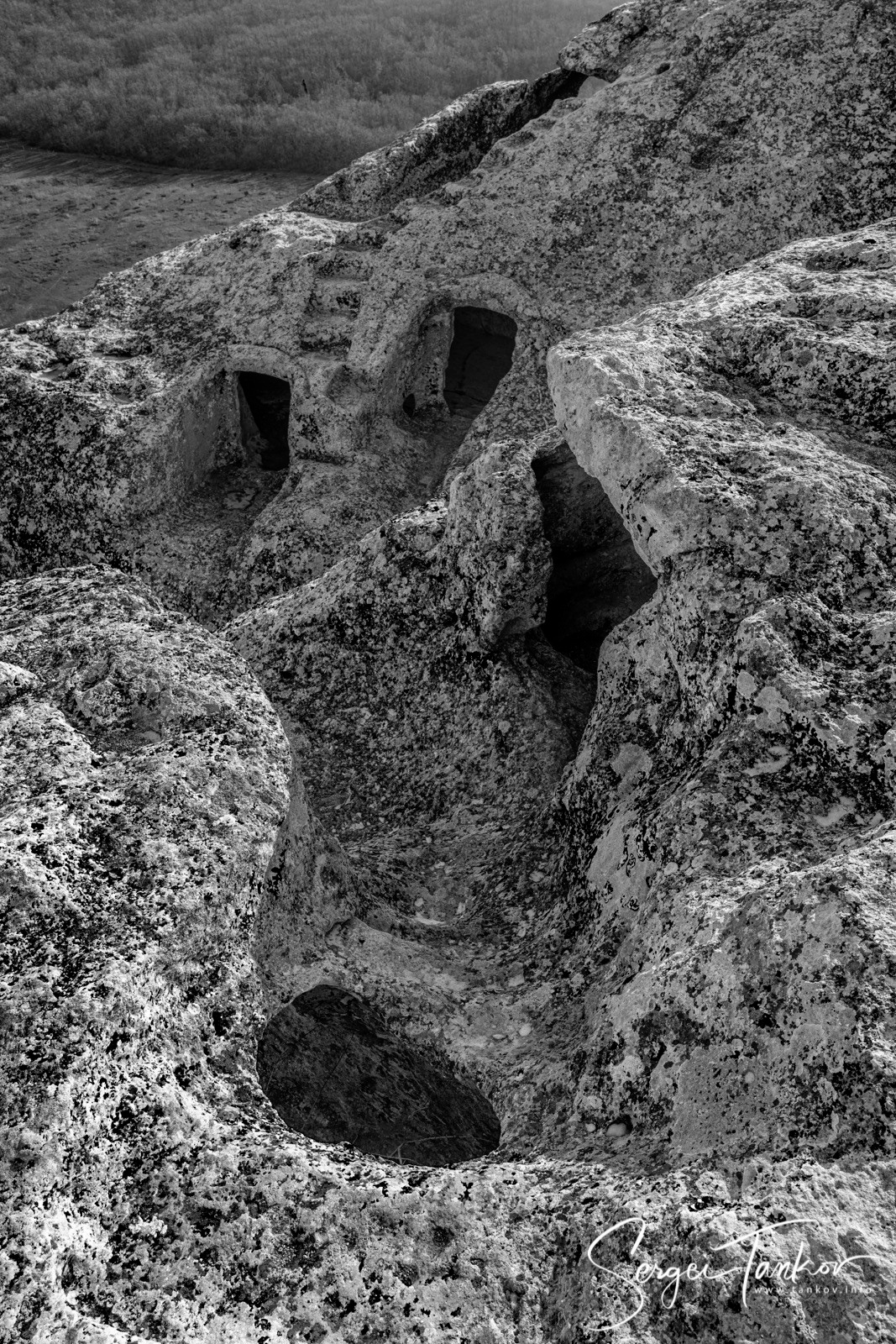 Крым (январь 2020). Фотограф Сергей Танков