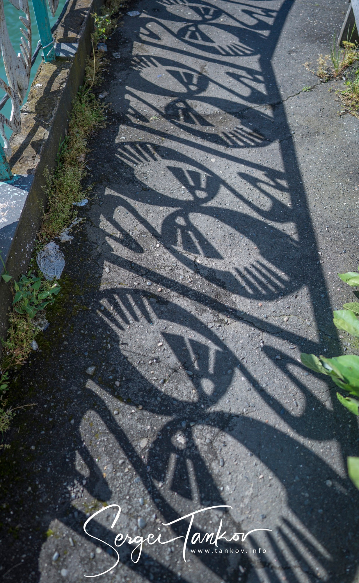 Абхазия (май 2019). Фотограф Сергей Танков