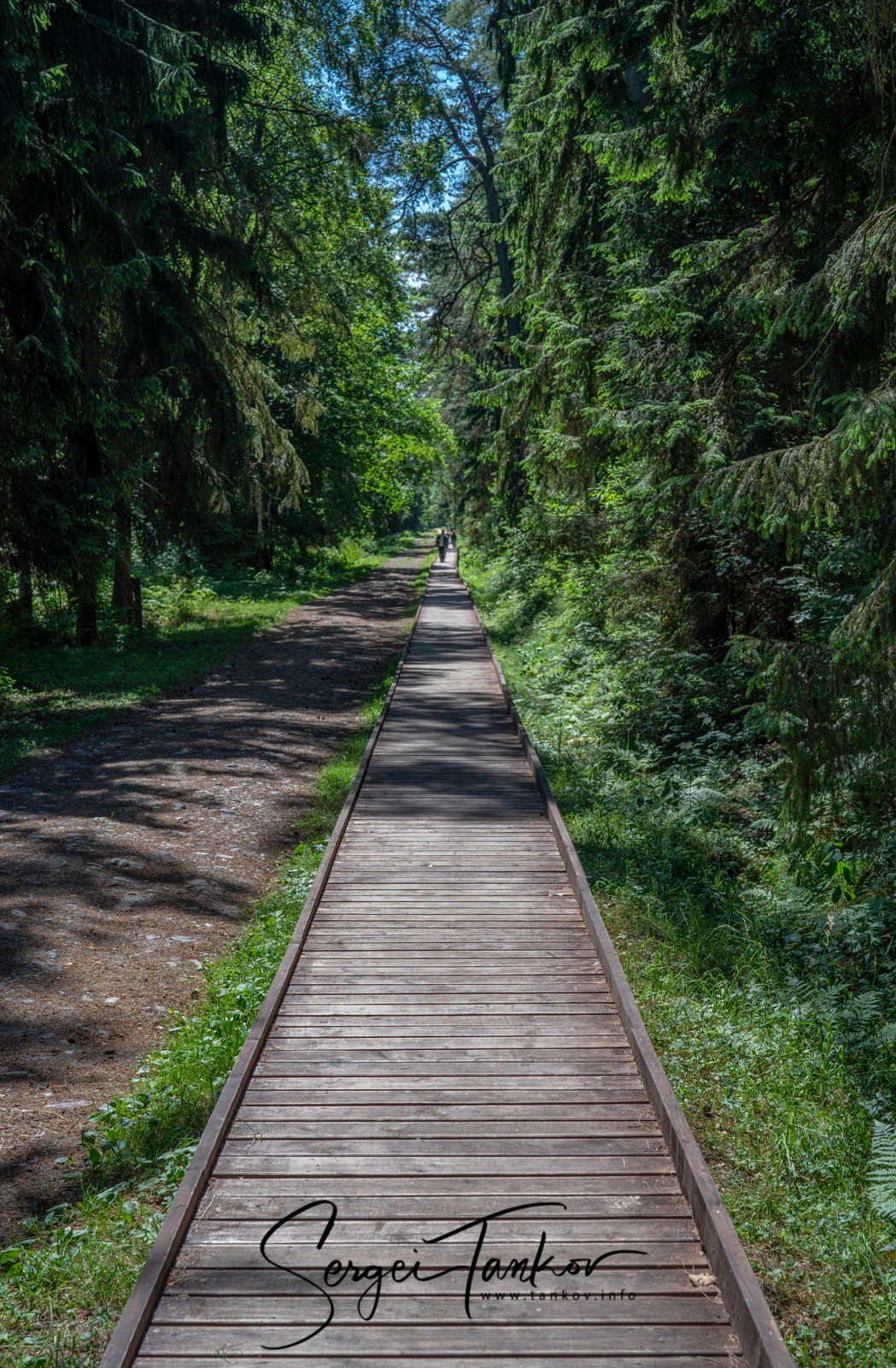 Калининград (июнь 2019). Фотограф Сергей Танков