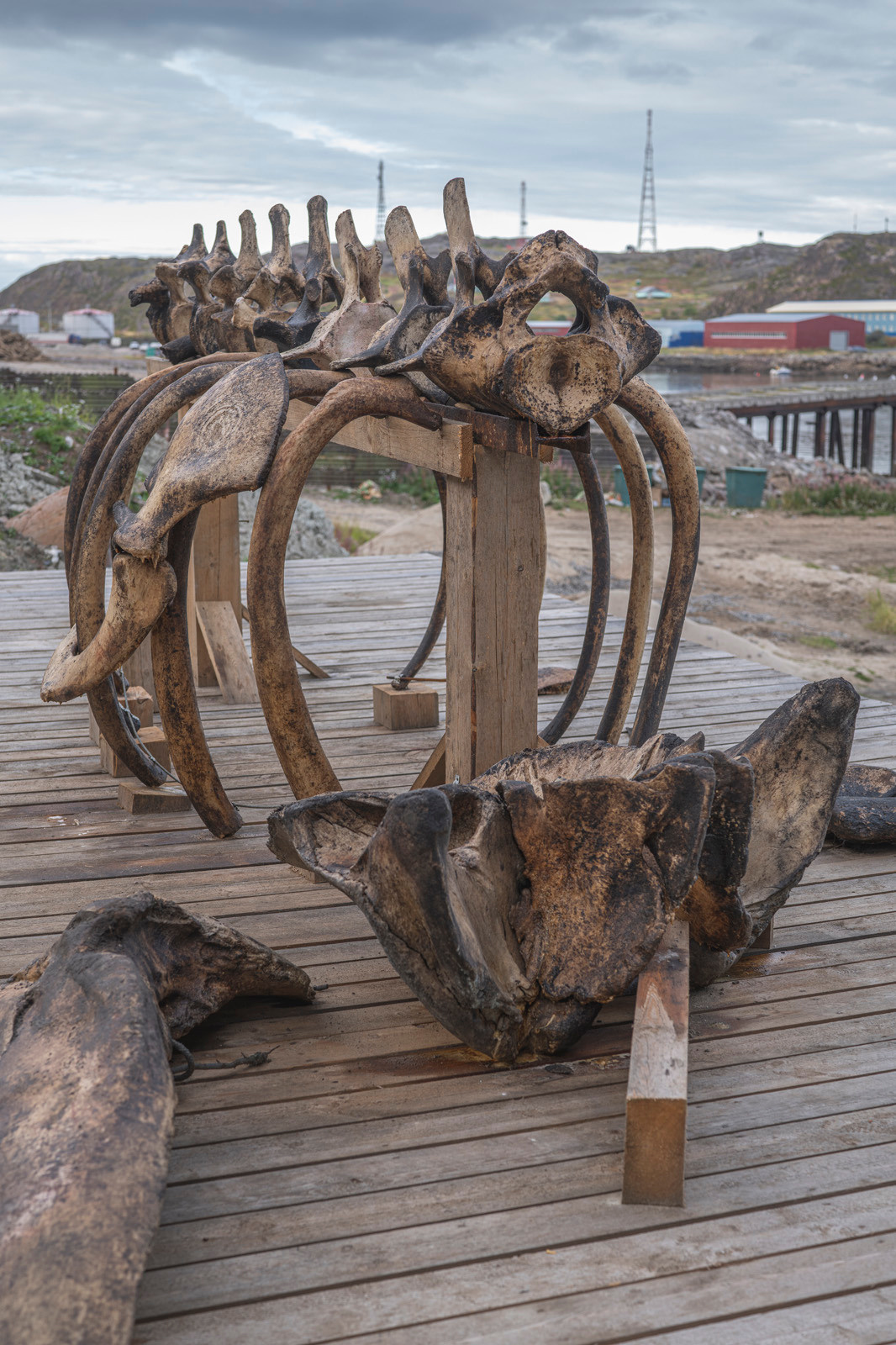 Териберка (октябрь 2020). Фотограф Сергей Танков