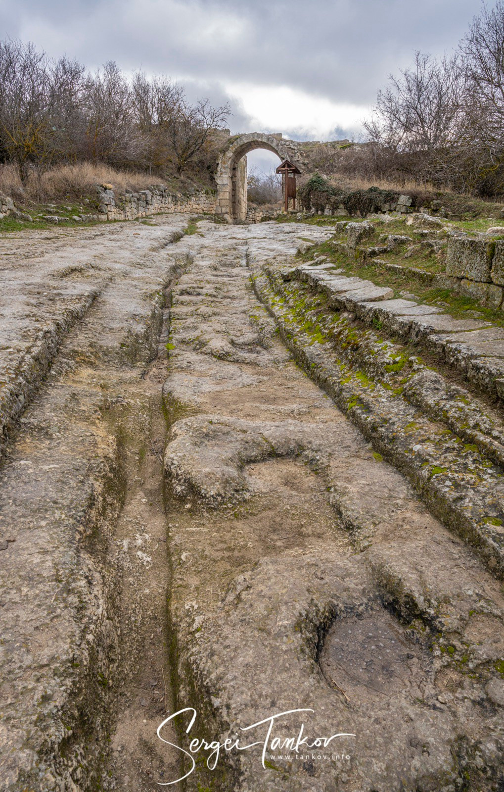 Крым (январь 2020). Фотограф Сергей Танков