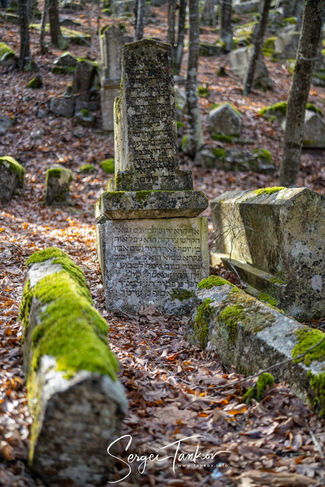 Крым (январь 2020). Фотограф Сергей Танков