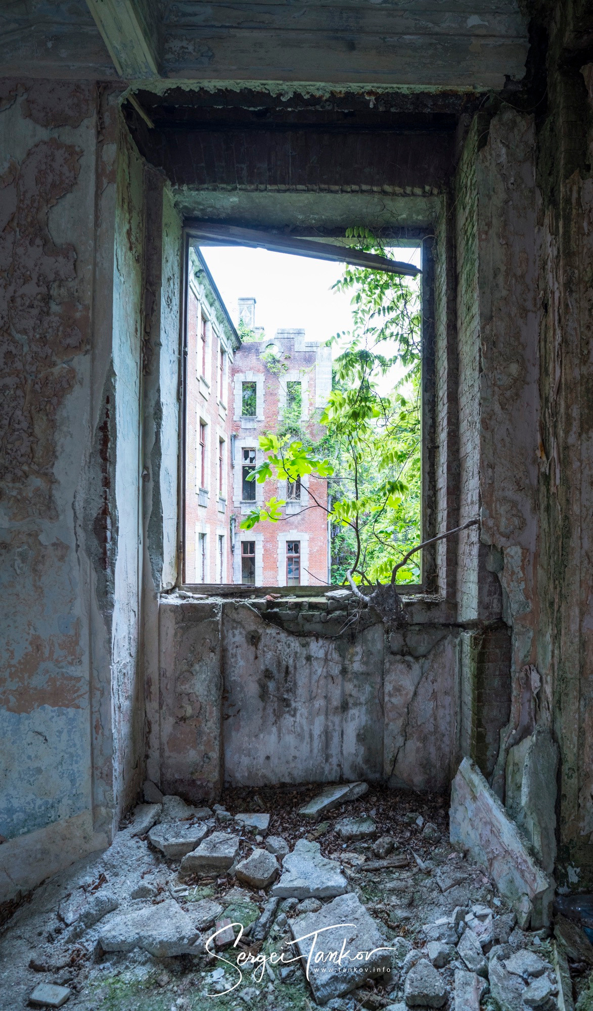 Абхазия (май 2019). Фотограф Сергей Танков