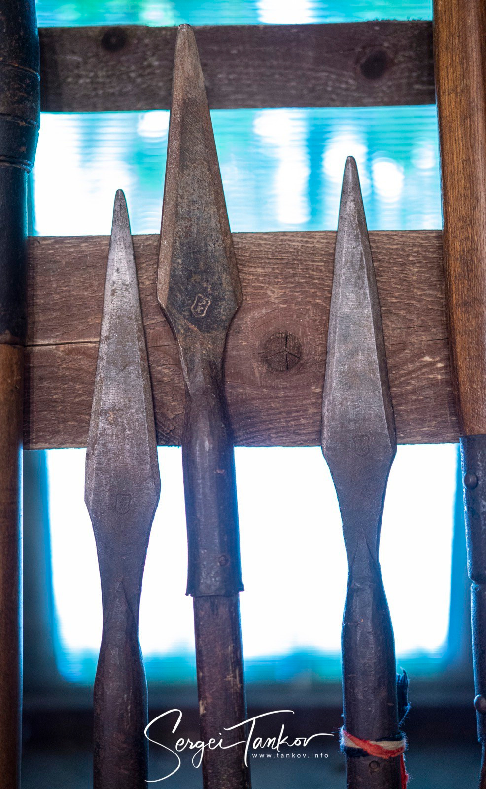 Калининград (июнь 2019). Фотограф Сергей Танков