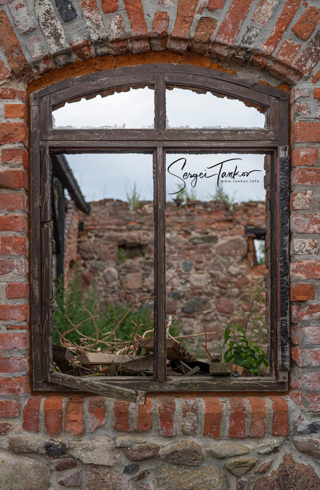 Калининград (июнь 2019). Фотограф Сергей Танков