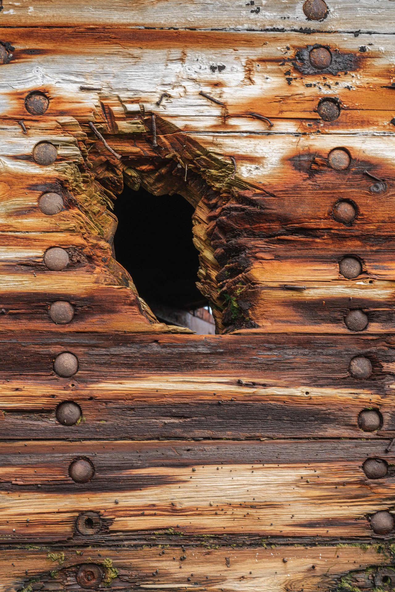 Териберка (октябрь 2020). Фотограф Сергей Танков