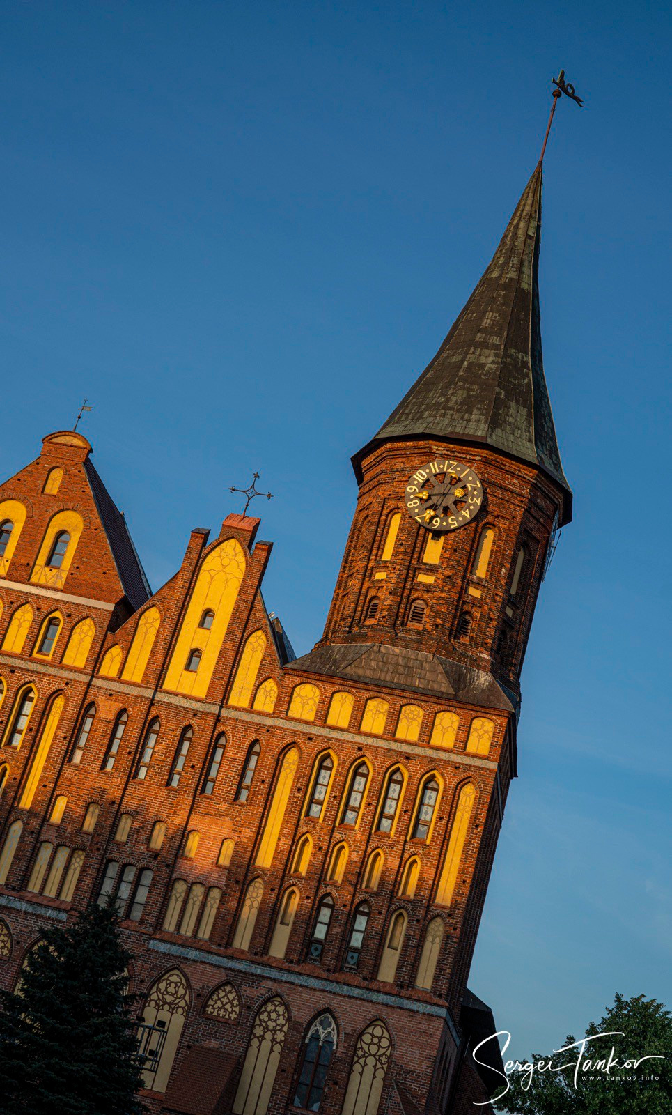 Калининград (июнь 2019). Фотограф Сергей Танков