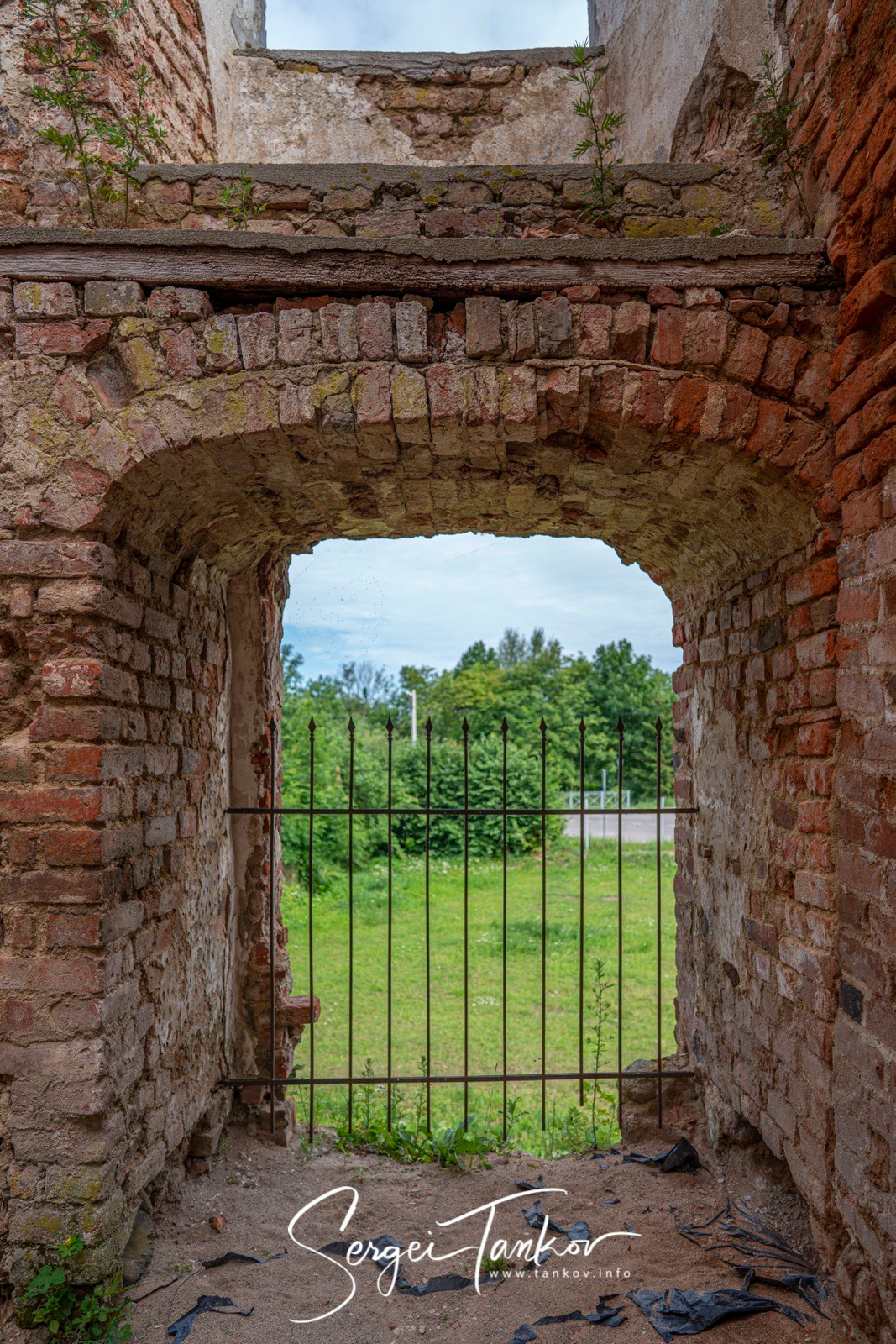 Калининград (июнь 2019). Фотограф Сергей Танков