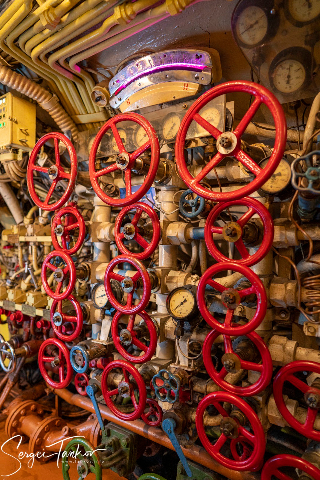 Калининград (июнь 2019). Фотограф Сергей Танков