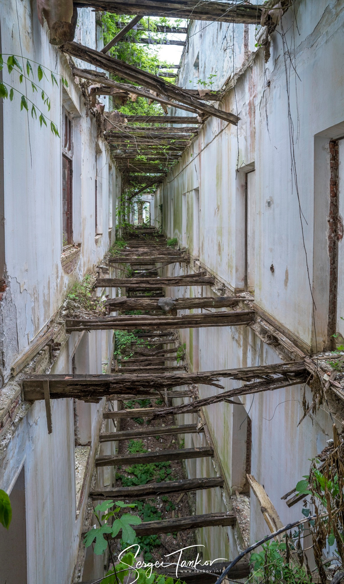 Абхазия (май 2019). Фотограф Сергей Танков