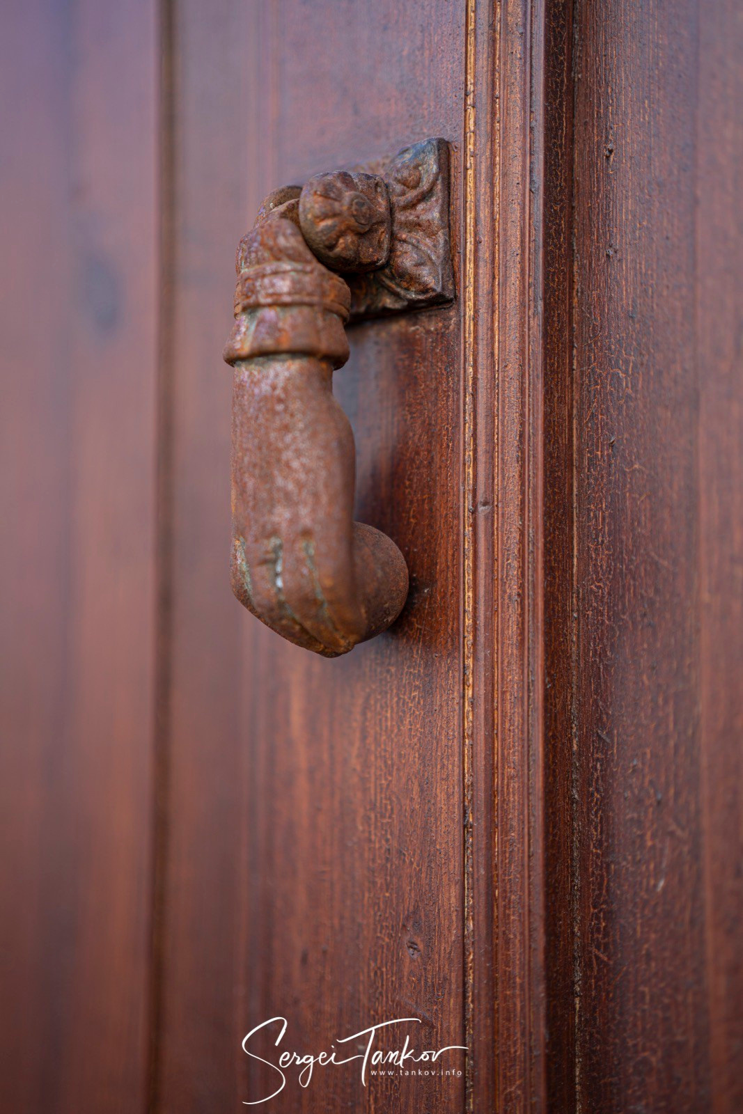 Валенсия (август 2019). Фотограф Сергей Танков