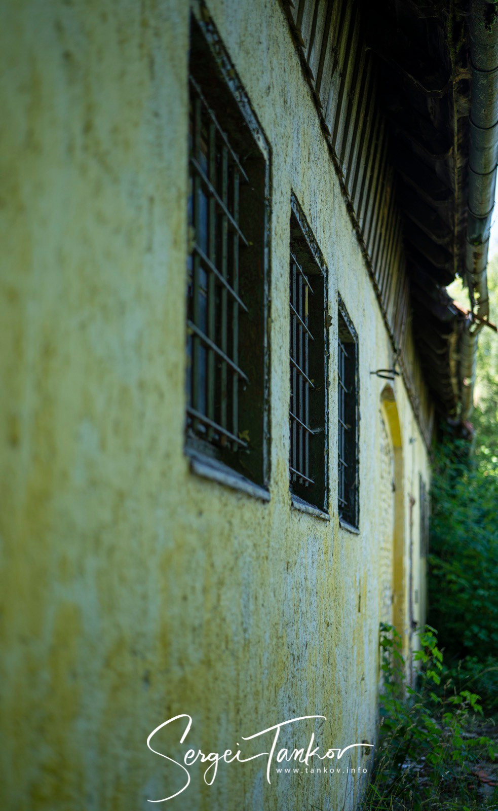 Калининград (июнь 2019). Фотограф Сергей Танков