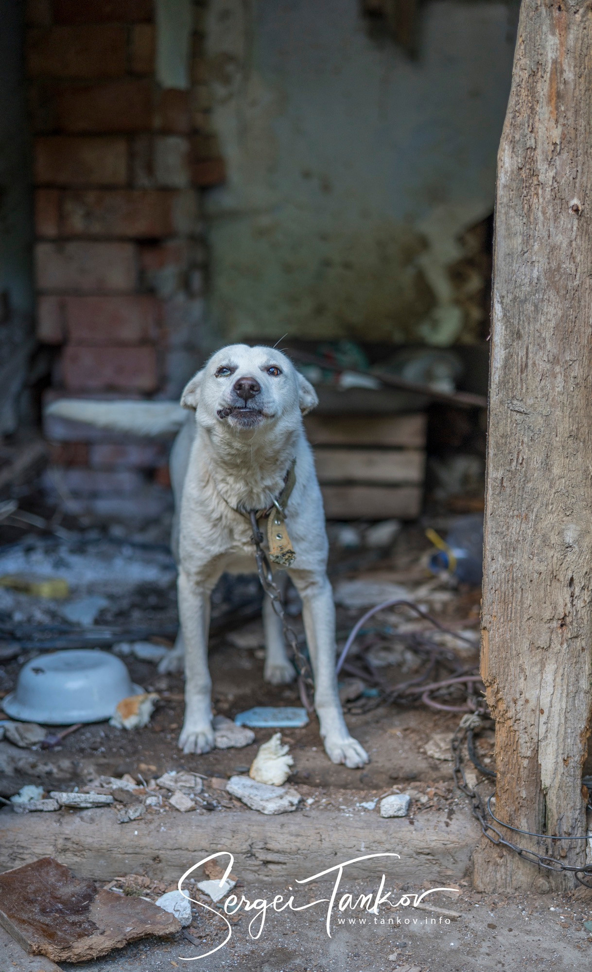 Абхазия (май 2019). Фотограф Сергей Танков