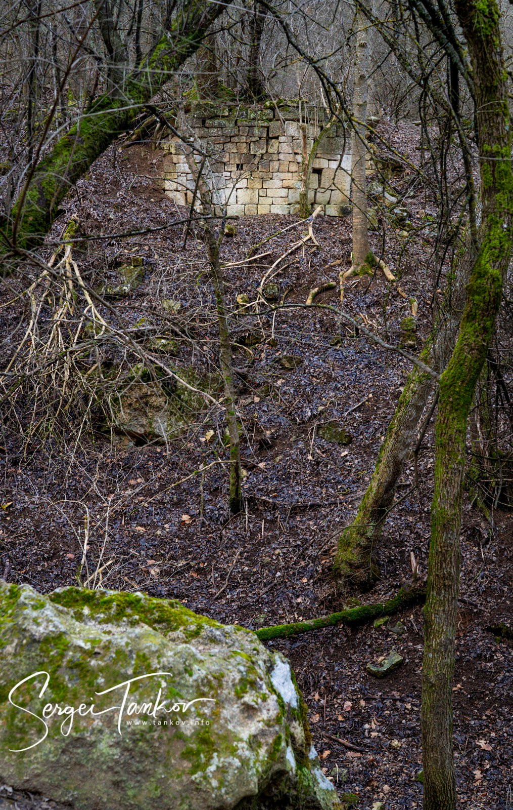 Крым (январь 2020). Фотограф Сергей Танков