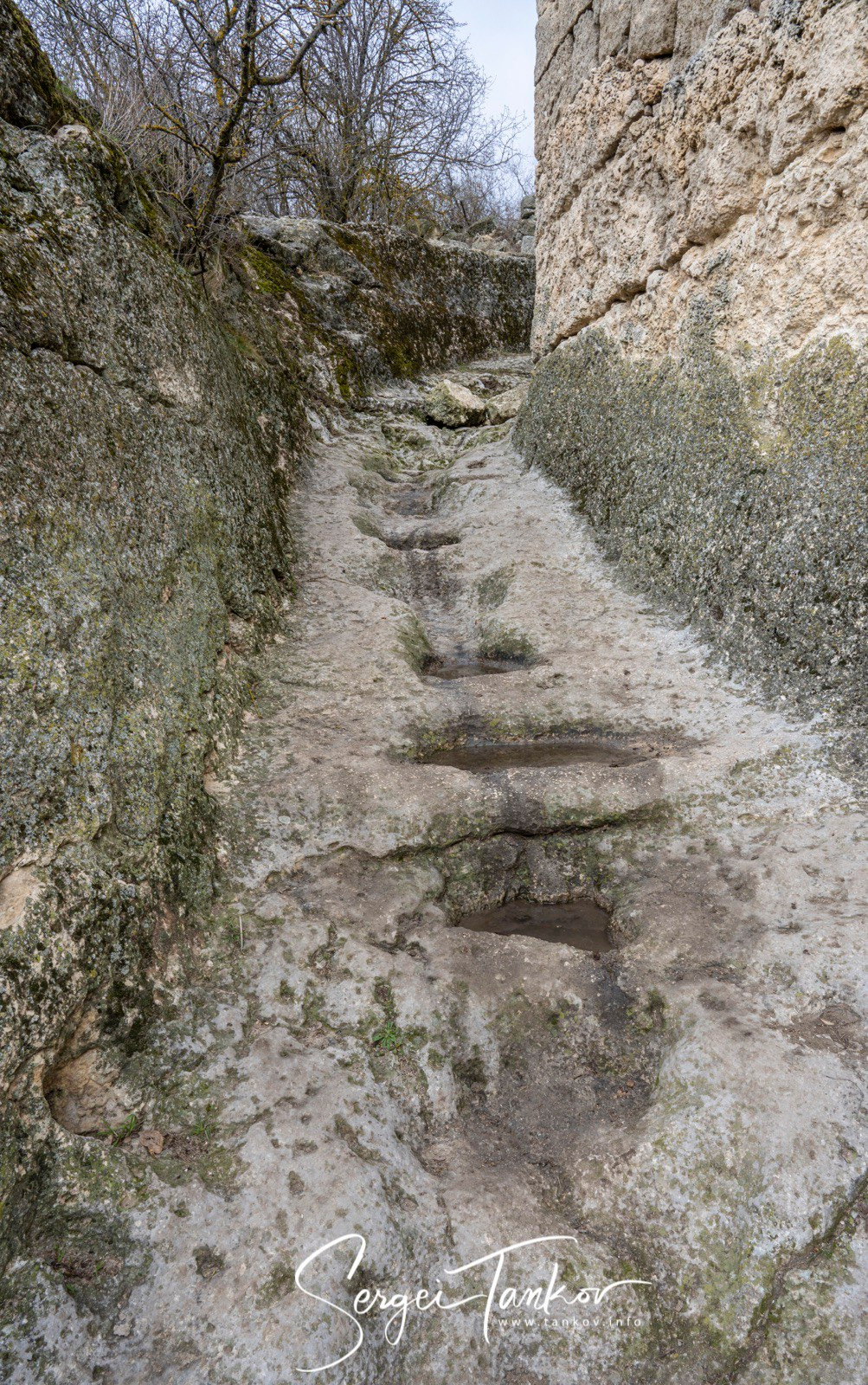 Крым (январь 2020). Фотограф Сергей Танков