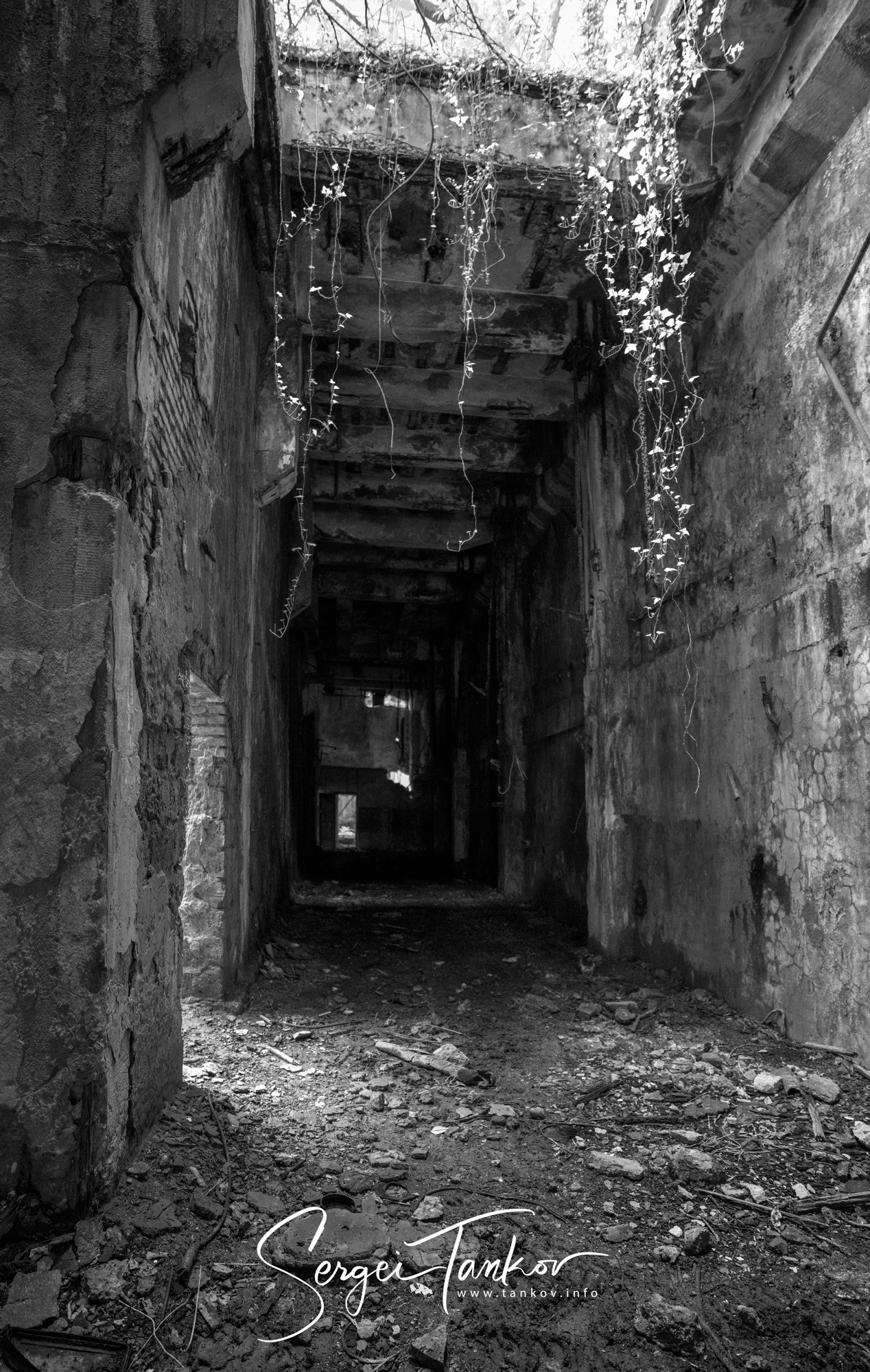 Абхазия (май 2019). Фотограф Сергей Танков