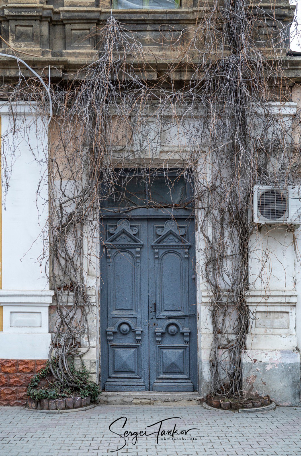 Крым (январь 2020). Фотограф Сергей Танков