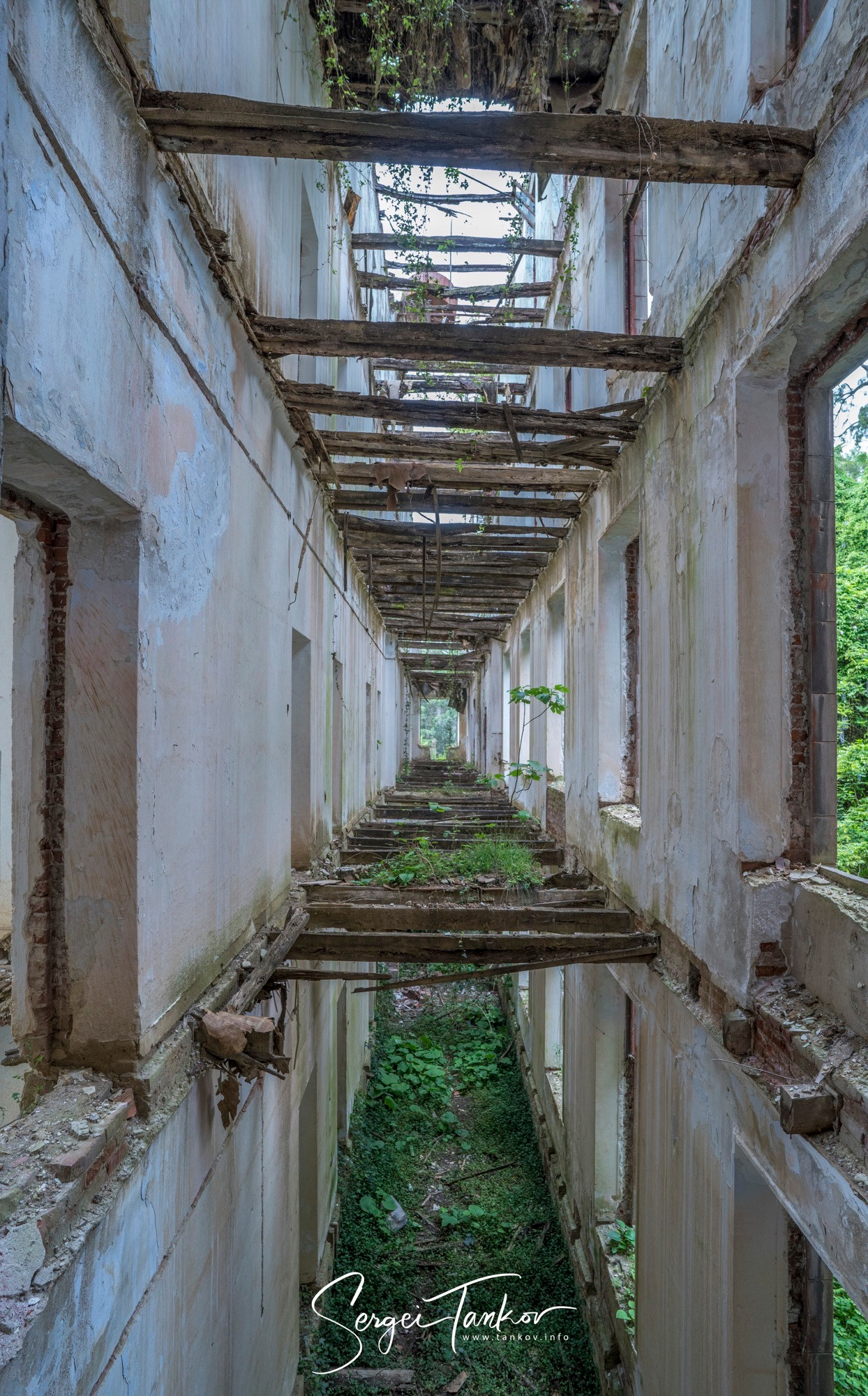 Абхазия (май 2019). Фотограф Сергей Танков