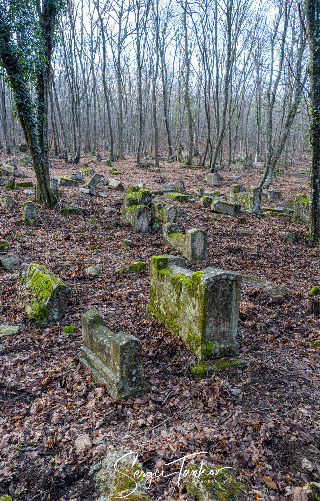 Крым (январь 2020). Фотограф Сергей Танков