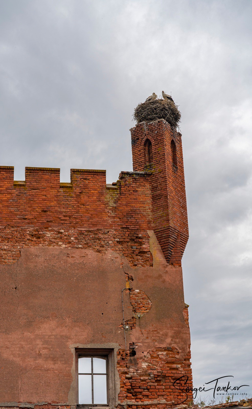 Калининград (июнь 2019). Фотограф Сергей Танков