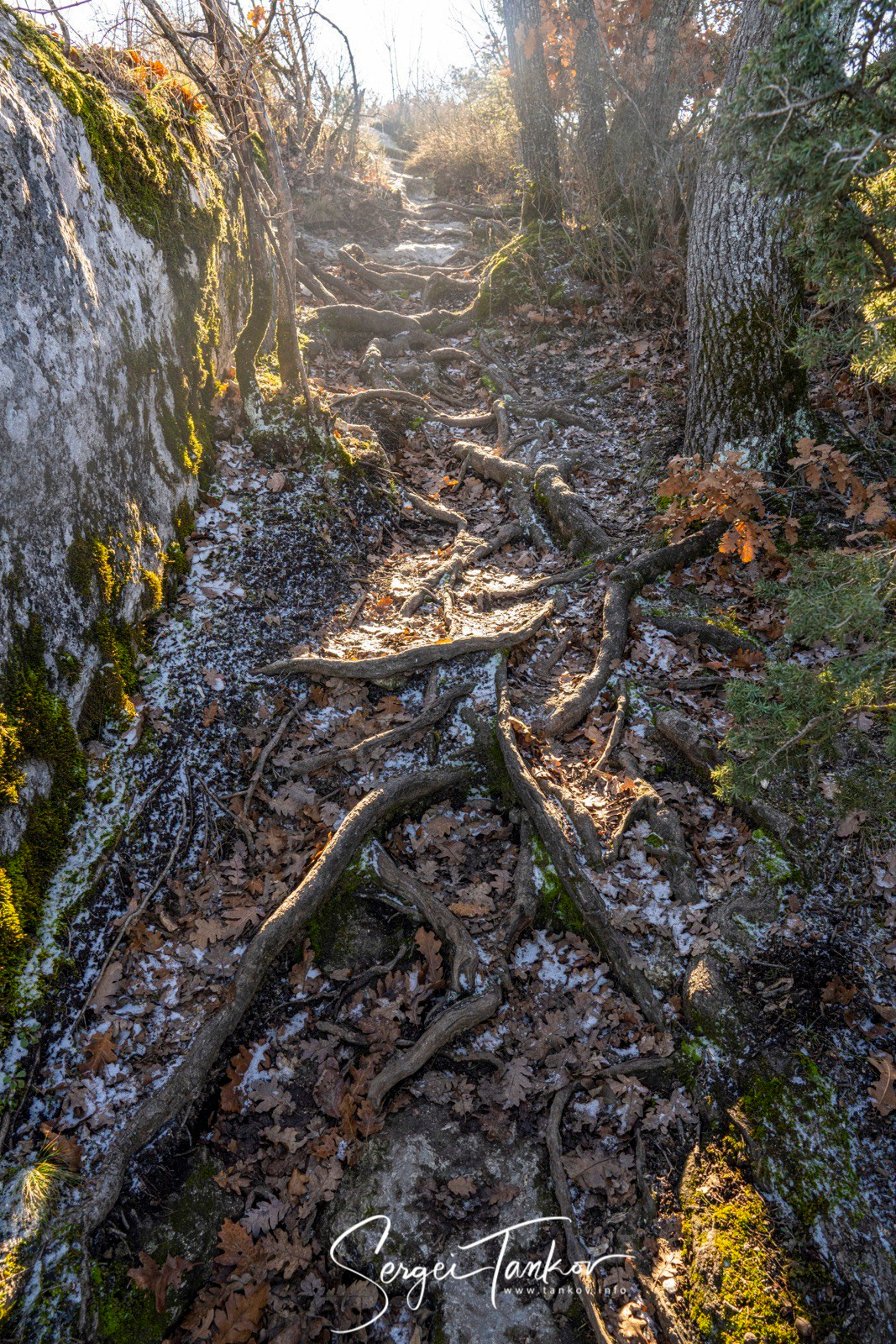 Крым (январь 2020). Фотограф Сергей Танков