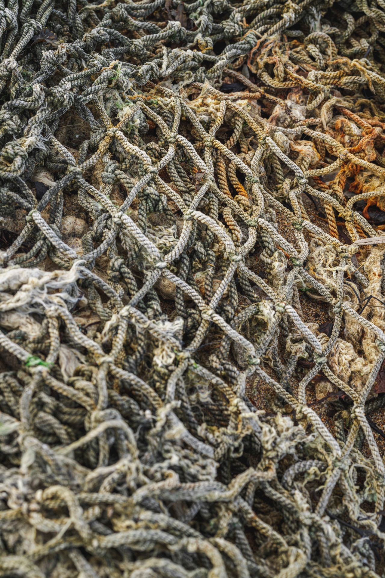 Териберка (октябрь 2020). Фотограф Сергей Танков