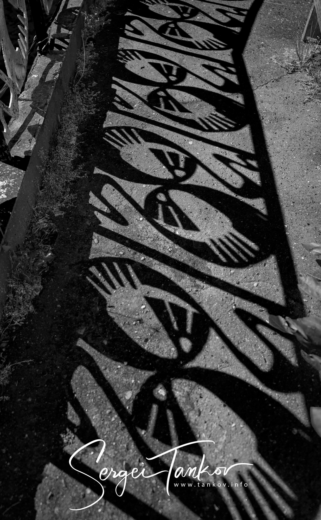 Абхазия (май 2019). Фотограф Сергей Танков