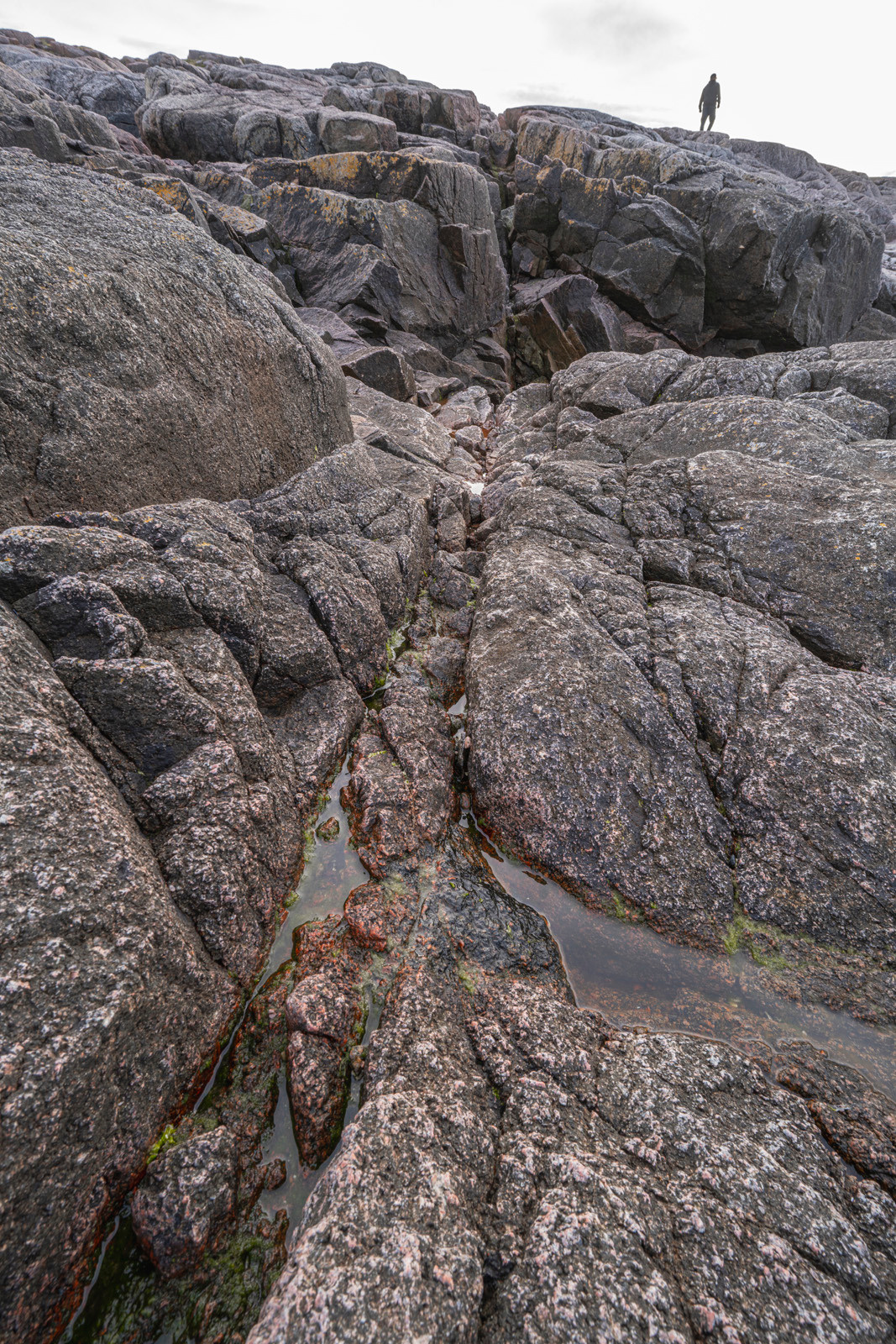 Териберка (октябрь 2020). Фотограф Сергей Танков