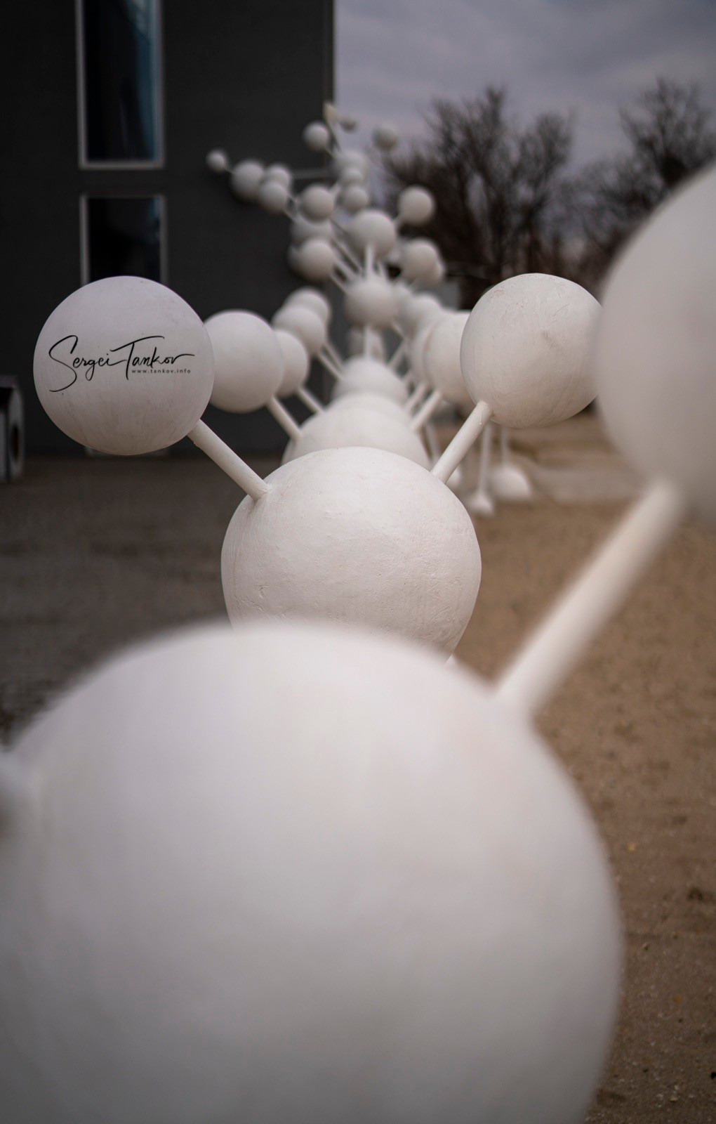 Крым (январь 2020). Фотограф Сергей Танков