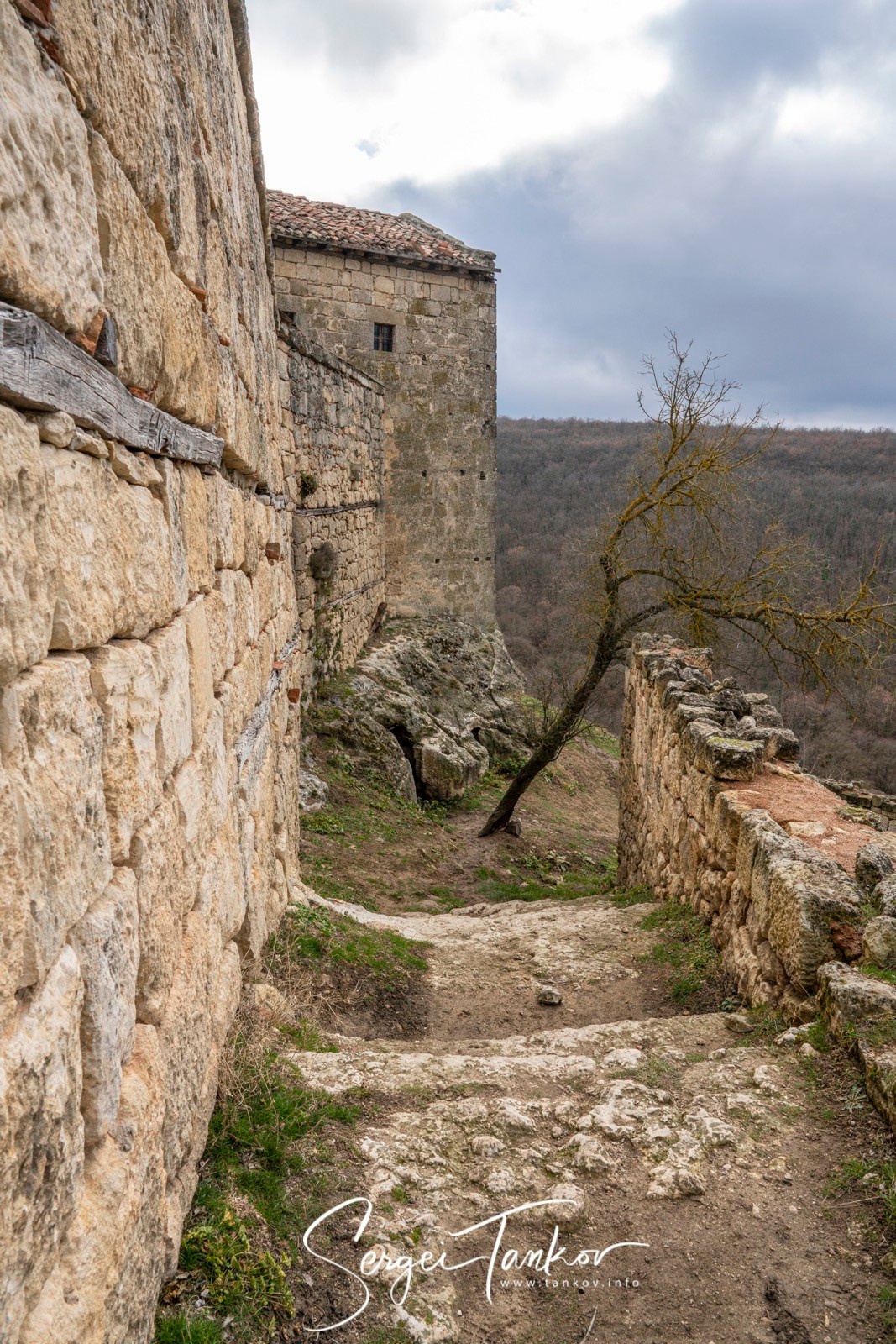 Крым (январь 2020). Фотограф Сергей Танков